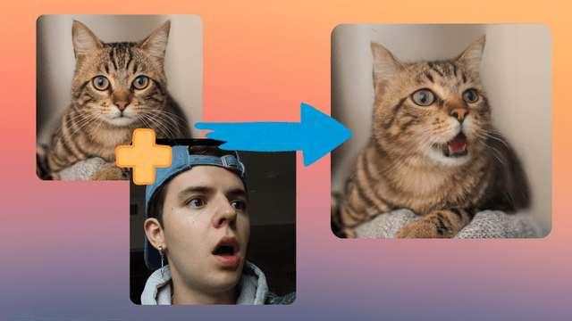 AI Animal Facial Expression Changer