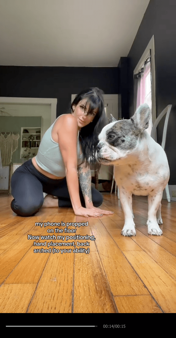 tiktok-screenshot-1734385735215