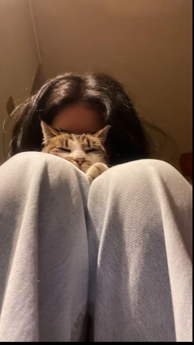 Cuddle Puddle ๐ฑ